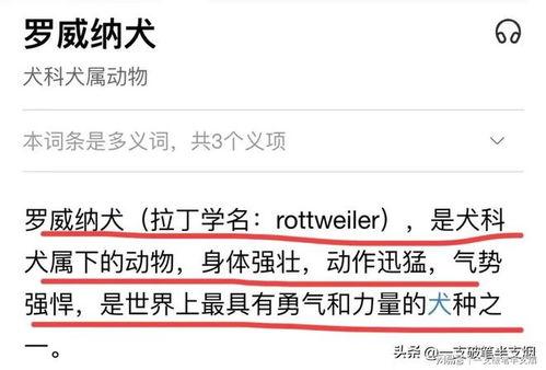 崇州直播爆料案件最新情况,案情揭秘与进展梳理 第2张 崇州直播爆料案件最新情况,案情揭秘与进展梳理 第2张